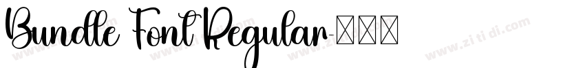 Bundle Font Regular字体转换 Bundle Font Regular字体转换